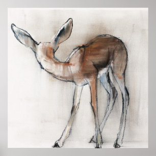 Poster Gazelle Fawn