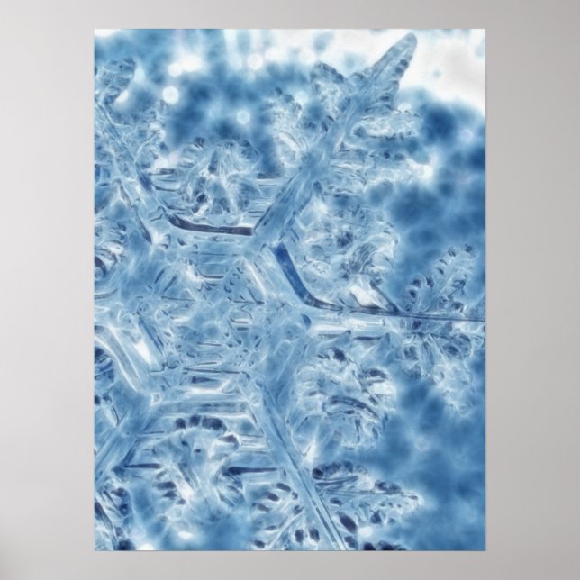 Poster Gelée Cristal de glace Flocon de neige fractal (Devant)