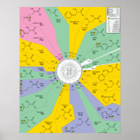 Poster GeneticCode acides aminés codons