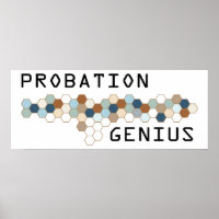 Génie de la probation