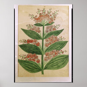 Poster Gentian avec fleurs imaginaires