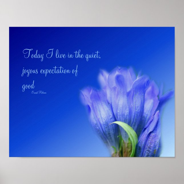 Poster Gentian Flower Life Attitude Citation inspirante (Devant)