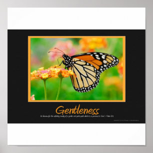 Poster Gentleness