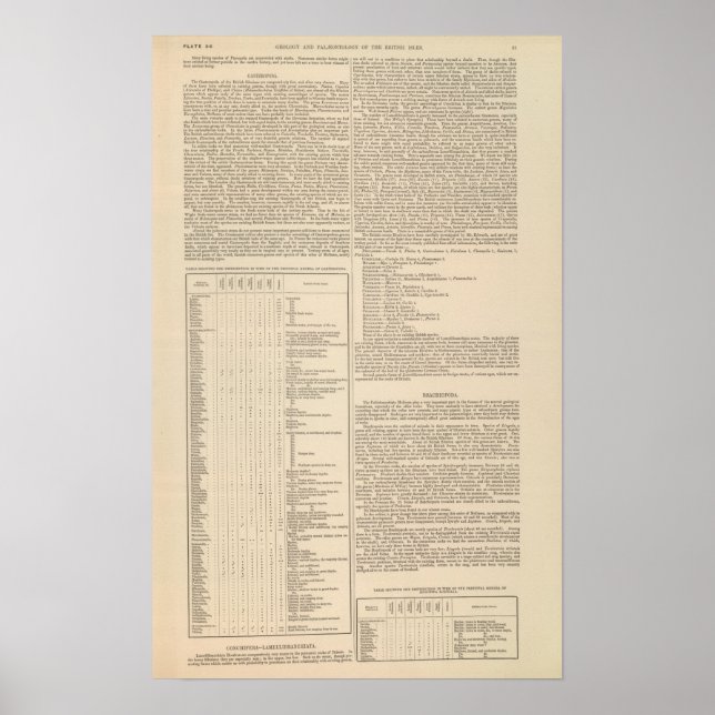 Poster Géologie et paléontologie des îles britanniques (Devant)
