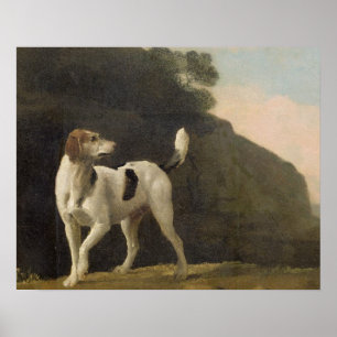 Poster George Stubbs   un fox-hound, c.1760 (huile sur