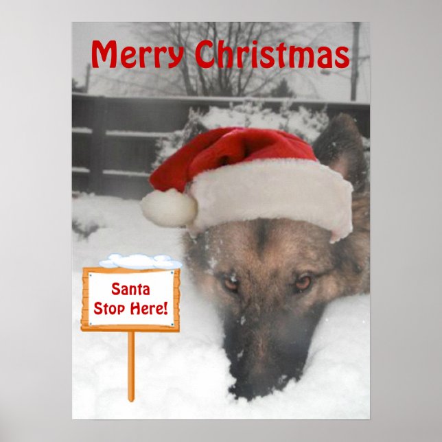 Poster German Shepherd Père Noël Stop Here Sign (Devant)