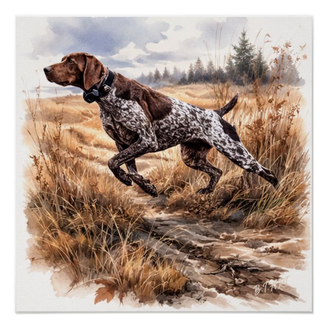 Poster  German Shorthaired Pointer  (Devant)