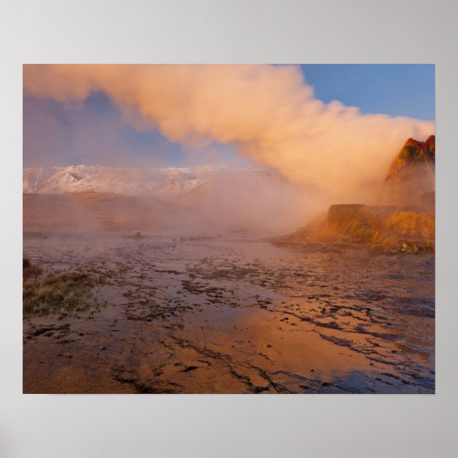 Poster Geyser Fly dans le désert de Black Rock (Devant)