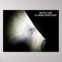 Ghost Cat vous regarde