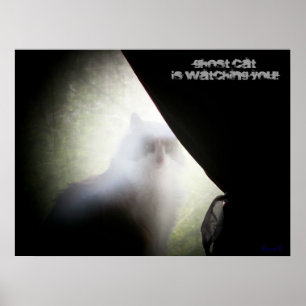 Poster Ghost Cat vous regarde