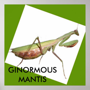 POSTER GINORMOUS MANTIS