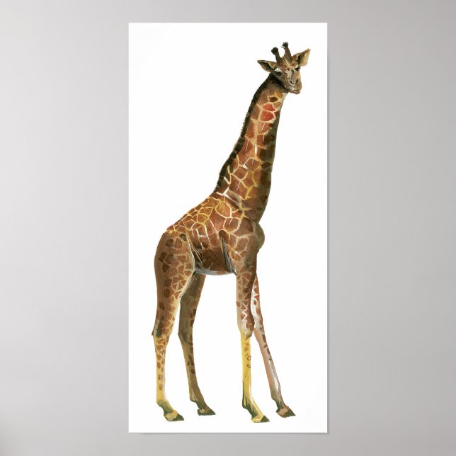 Poster Giraffe (Devant)