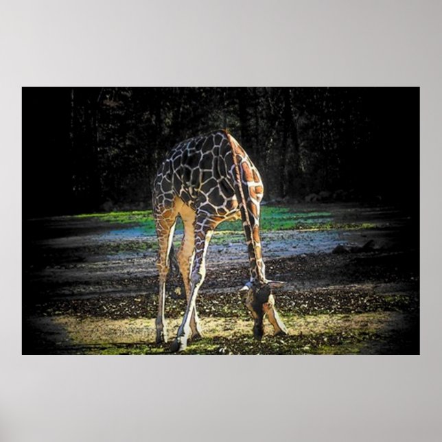 Poster Giraffe 2 (Devant)