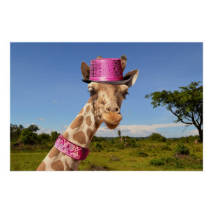 Poster Giraffe en casquette rose étincelant