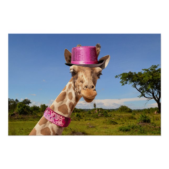 Poster Giraffe en casquette rose étincelant (Devant)