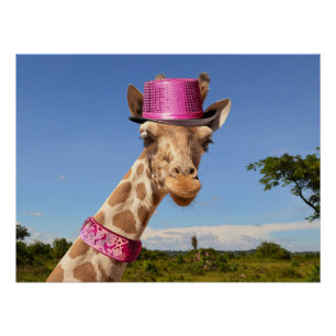 Poster Giraffe en casquette rose étincelant