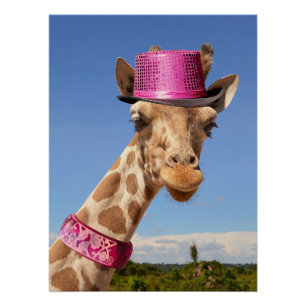 Poster Giraffe en casquette rose étincelant
