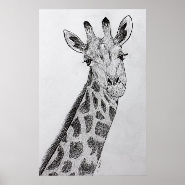 Poster Giraffe Portrait crayon croquis dessin art imprime (Devant)