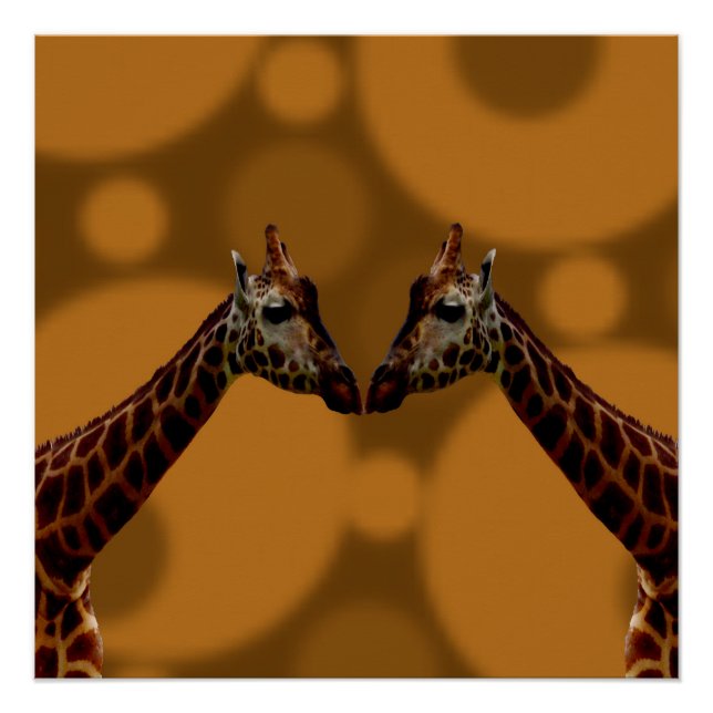Poster Giraffes super A Go Go, (Devant)