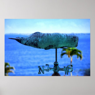 Poster Girouette Baleine à Bosse