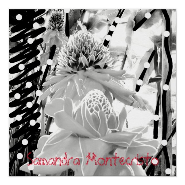 Poster glacé Ananas et fraise blanc (Devant)