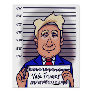 Poster glacé de Trump