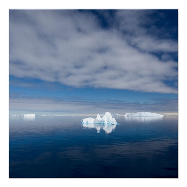 Poster Glace flottante en Antarctique (Devant)