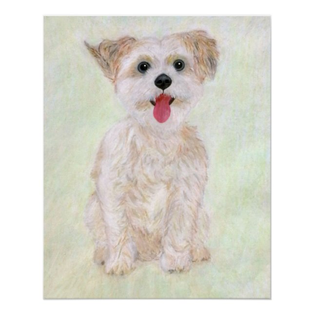 Poster glacé Morkie Dog (Devant)
