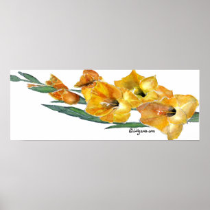 Poster Gladiola peinture aquarelle Imprimer