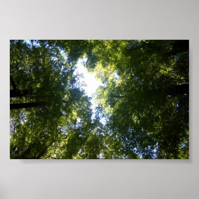 Poster Glenorchy, Nouvelle-Zélande (Devant)