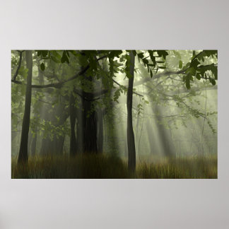 Poster Gloire aux Banyans