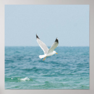 Poster Goéland volant au-dessus de la mer