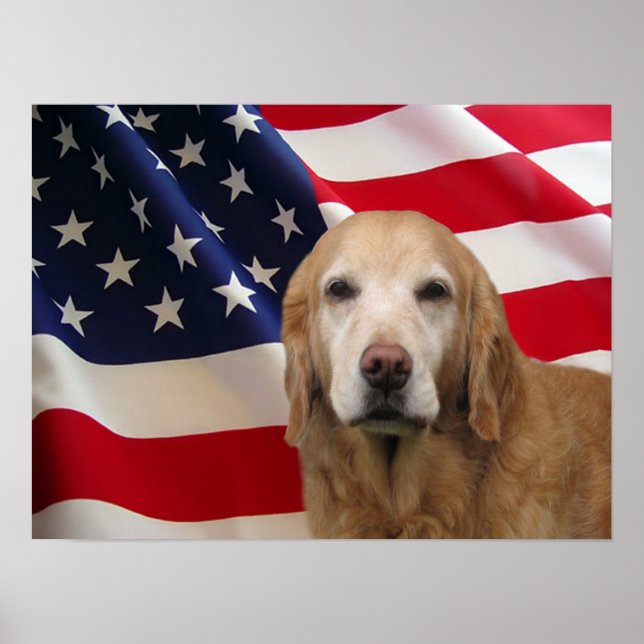 Poster Golden Retriever American Flag Imprimer (Devant)