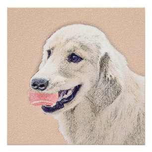 Poster Golden Retriever avec Tennis Ball Peinture Chien A