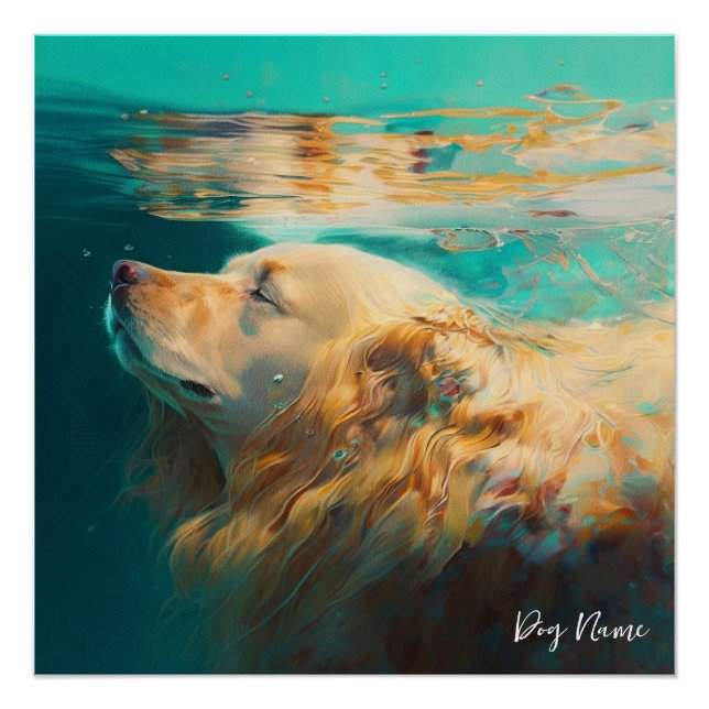 Poster Golden Retriever dog swimming in water 004 (Devant)