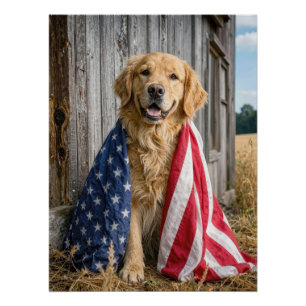 Poster Golden Retriever drapé dans un drapeau américain