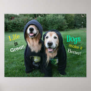 Poster Golden Retriever Life est génial