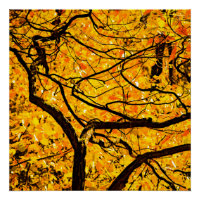 Golden Veins Of Autumn