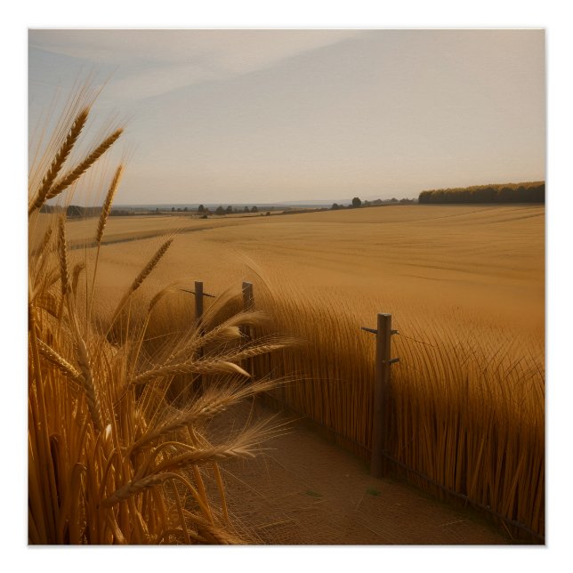 Poster Golden Wheat Path – Rustic Summer Landscape (Devant)