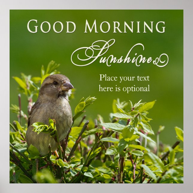 Poster - Good Morning Sunshine - Bird in Bush (Devant)