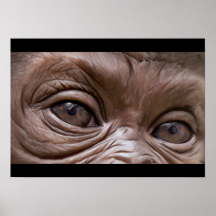 Poster gorille