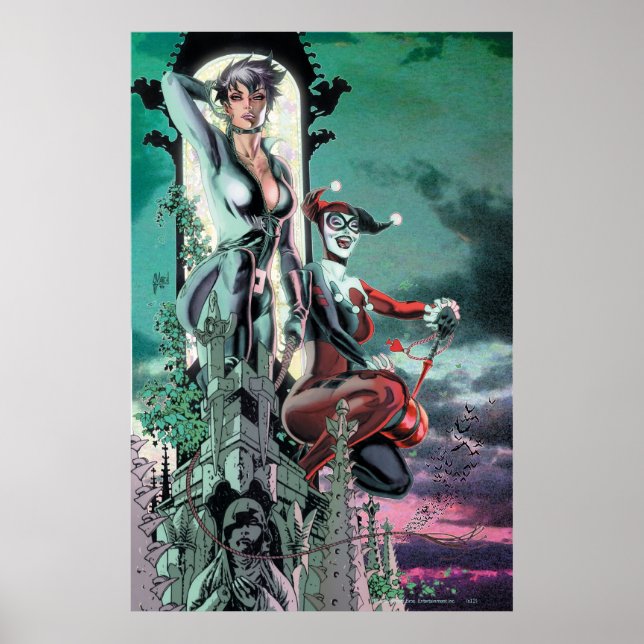 Poster Gotham City Sirens Cv12_R1 (Devant)