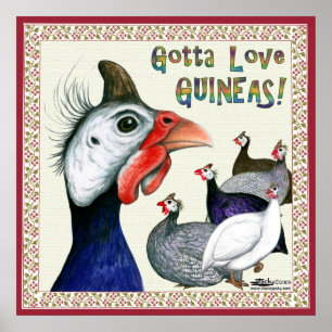 Poster Gotta Love Guineas !
