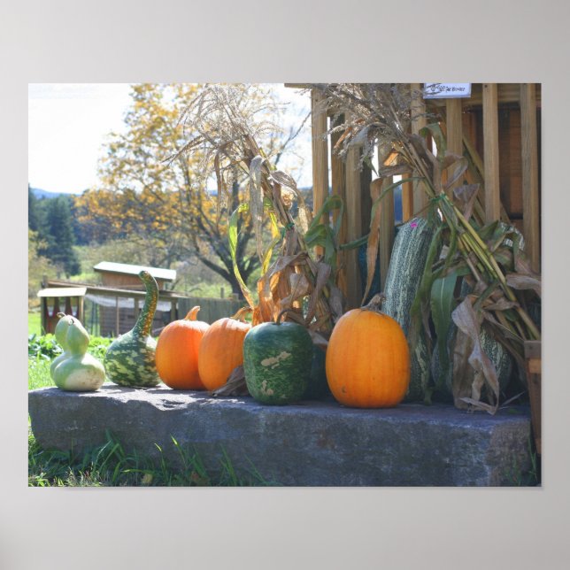 Poster Gourds And Pumpkins Farm Stand Fall (Devant)