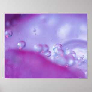 Poster Gouttes de rosée sur un pétale de fleur abstrait. 