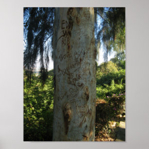 Poster Graffiti thaïlandais