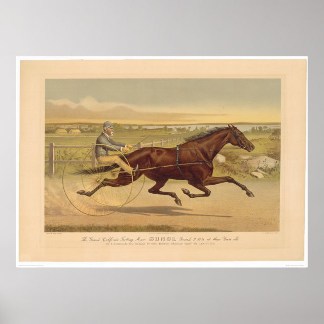 Poster Grand California Trotting Mare Sunol (0652A) (Devant)