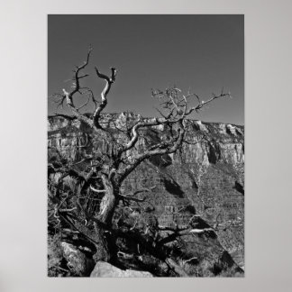 Poster Grand Canyon #1