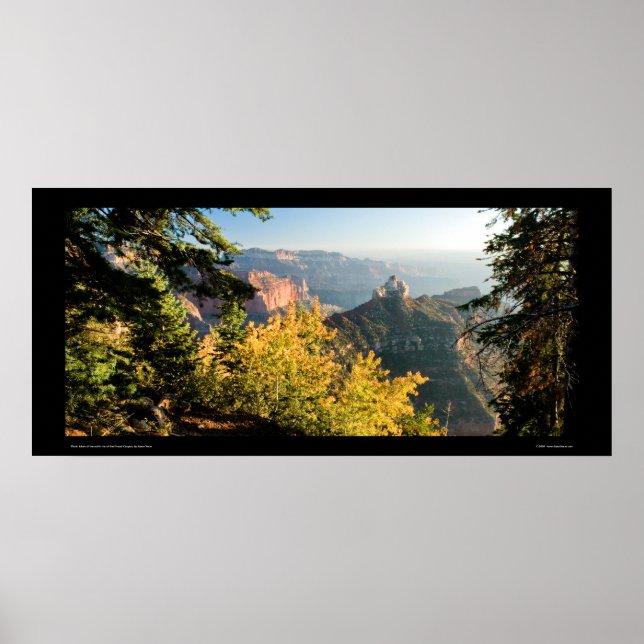 Poster Grand Canyon avec bouleau doré (Devant)