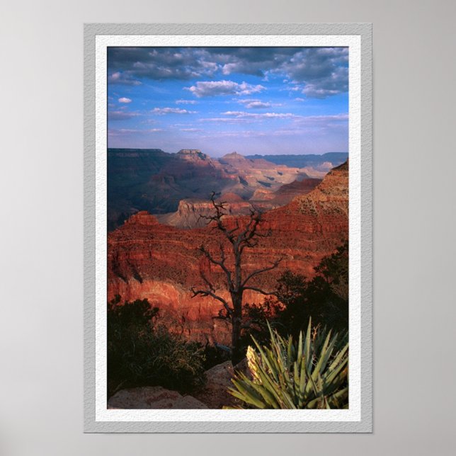 Poster Grand Canyon Flora (Devant)